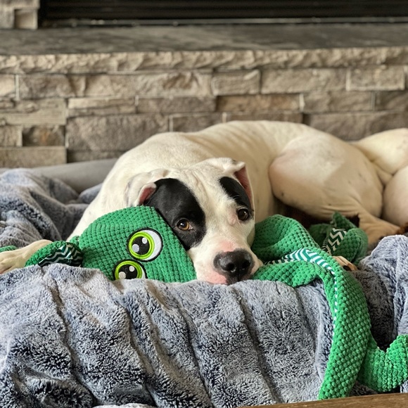 Make me an offer or bundle your likes - Picture 10 of 14